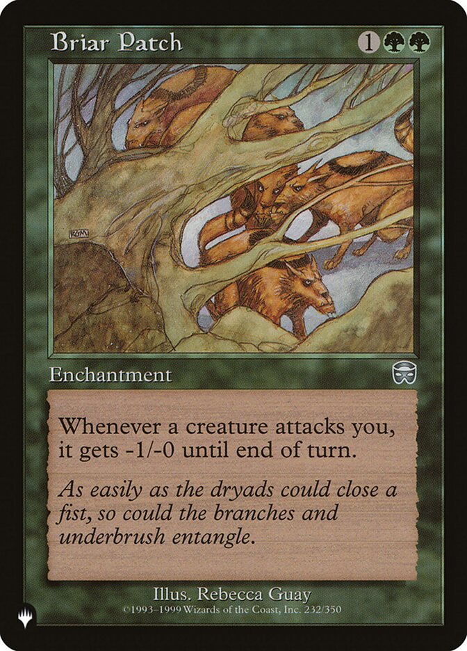 Briar Patch - Retro Frame