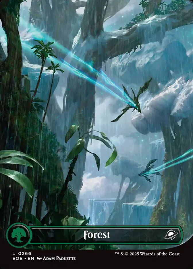 Forest - Textless - Borderless - Full Art - Inverted (Foil)