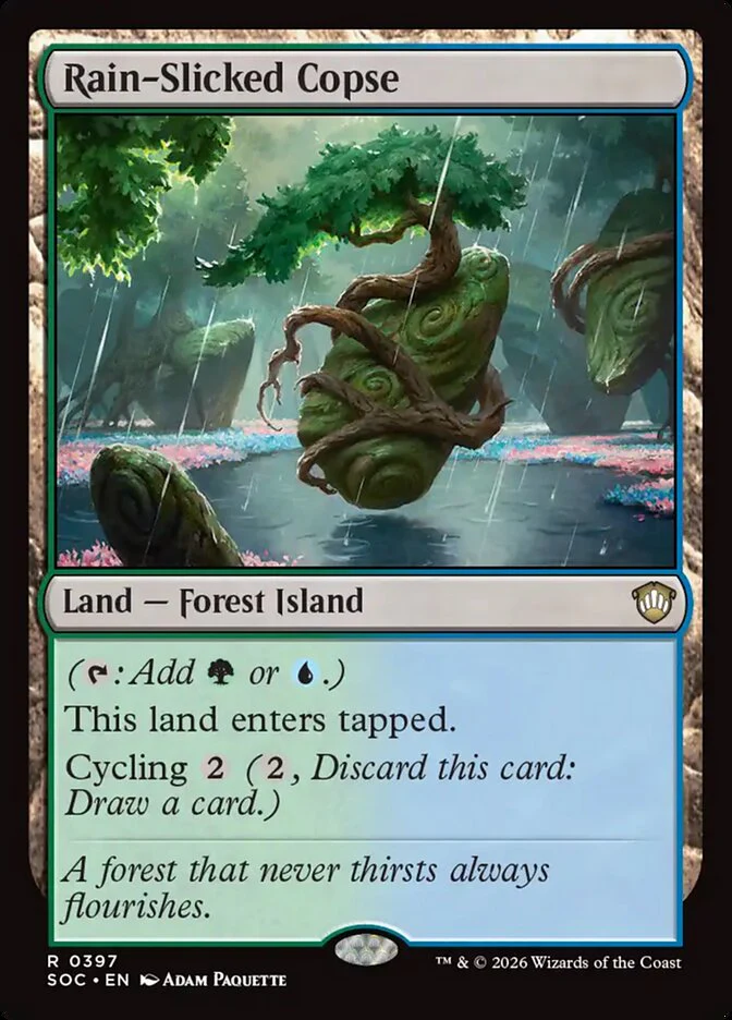 Rain-Slicked Copse