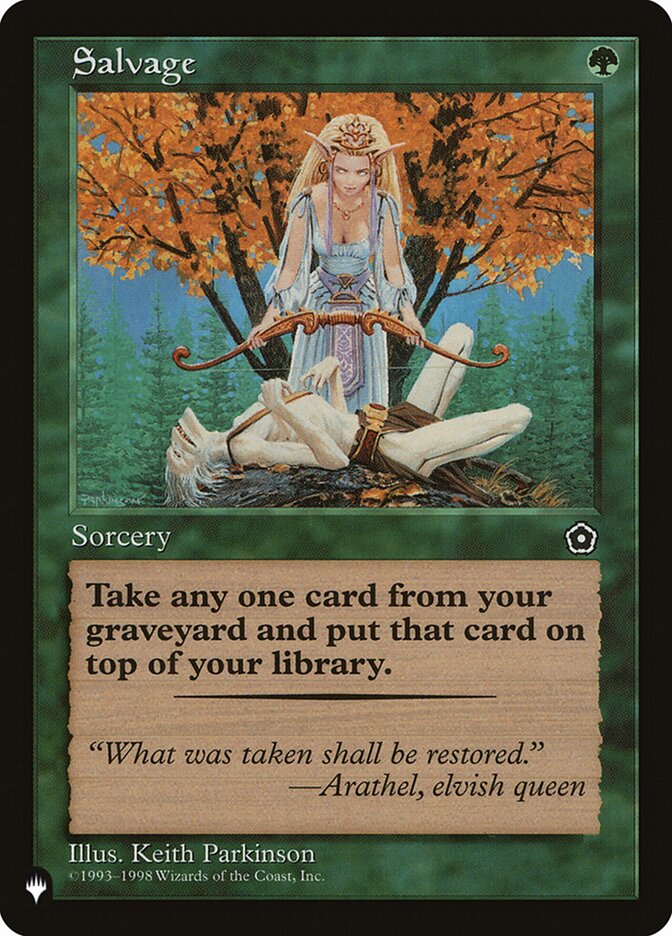 Salvage - Retro Frame