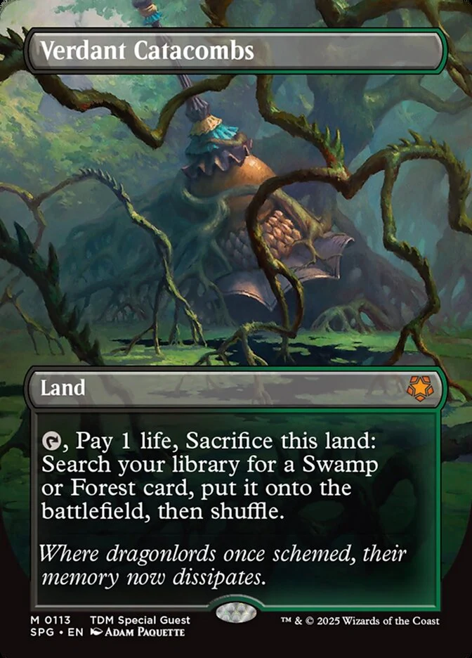 Verdant Catacombs - Borderless - Full Art - Inverted (Foil)